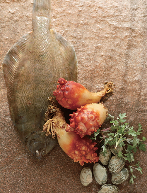 봄바다의맛1 (1)