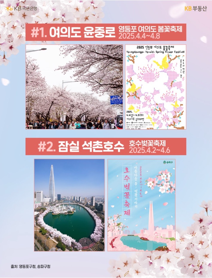 '서울' 대표 '벚꽃 명소' 중 여의도 윤중로와 잠실 석촌호수의 사진과 축제 포스터를 보여주고 있다.