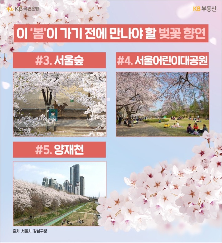 '서울' '벚꽃 명소' 중 서울숲, 서울어린이대공원, 양재천의 사진을 보여주고 있다.