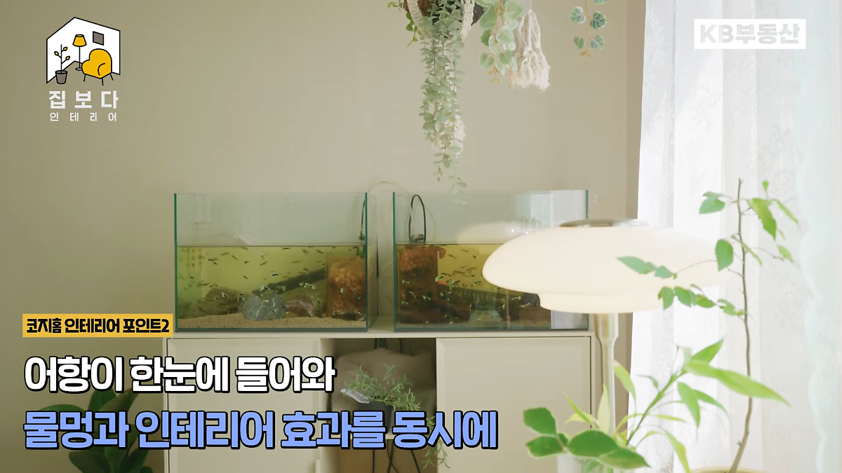 'KB부동산TV 집보다 인테리어' 두 번째 사연의 코지홈 인테리어 포인트 두번째로 어항을 수납장 위로 두어서 자연스럽게 '물멍'하기 좋고 인테리어 효과도 낼 수 있는 공간으로 만들었다.
