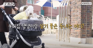 반려동물 키운다면 꼭 보세요! 우리집 '댕댕이'랑 살기 좋은 동네는 어디?