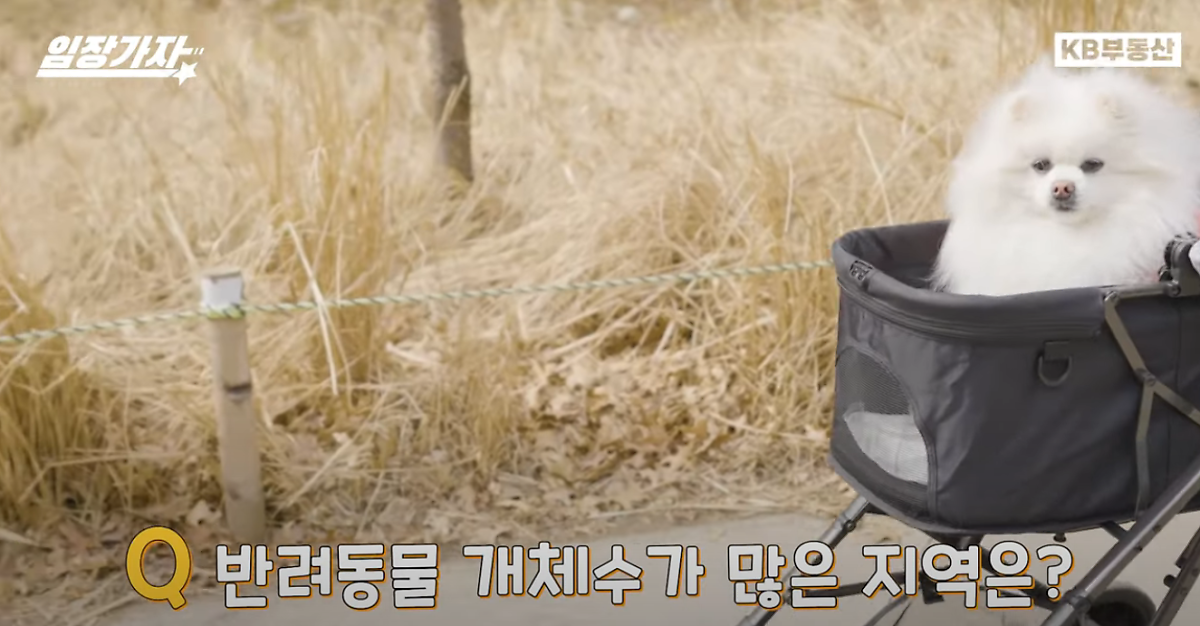 펫세권 입지 1위를 차지한 마포구의 경우 서교동(217개), 연남동(204개), 망원동(186개) 등지에 펫세권 업종이 몰려 있었는데요.  '댕댕이'와 함께 산책하기 좋은 경의선숲길(연트럴파크) 주변과 한강공원을 중심으로 반려견 동반이 가능한 음식점이나 카페 등이 많은 것으로 분석됐습니다.  2위를 차지한 '강남구'는 추정되는 반려동물 개체수가 서울지역 2위로, 반려동물 수가 많은 지역에 속합니다. 반려동물 양육가구가 많다보니 관련 업종도 자연스레 많이 생겼을 것으로 보입니다.  펫세권 순위 3위인 용산구에 대해 성민창 대표는 "반전 매력이 있는 지역"이라고 말합니다. 성 대표는 "용산구는 추정 반려동물 등록 개체수가 서울권역에서는 적은 편인데 의무등록률은 서울에서 제일 높아 시민의식이 높은 것으로 생각한다"고 덧붙였습니다.