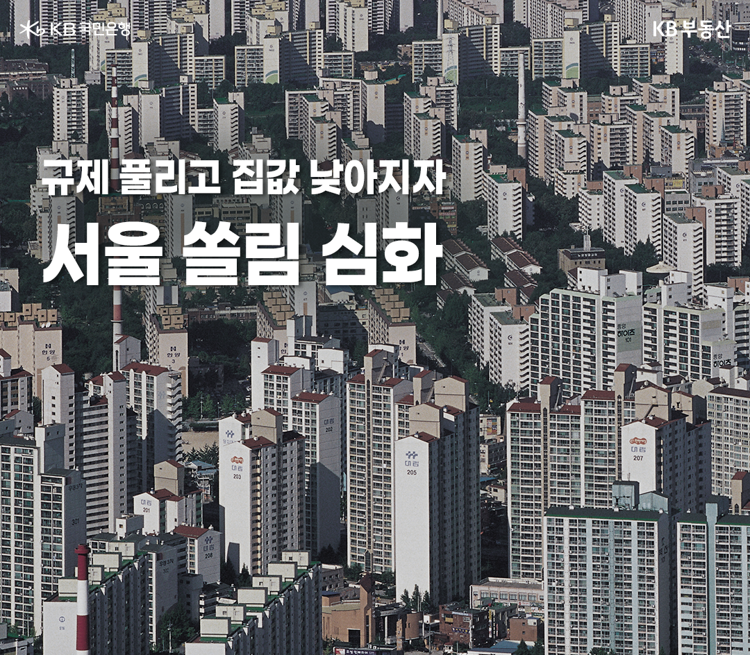정부의 부동산 규제완화 효과로 낮아진 집값에 '서울 쏠림 심화'현상을 언급하는 이미지.
