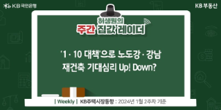 ‘1ㆍ10 대책’으로 노도강ㆍ강남 재건축 기대심리 Up! Down?