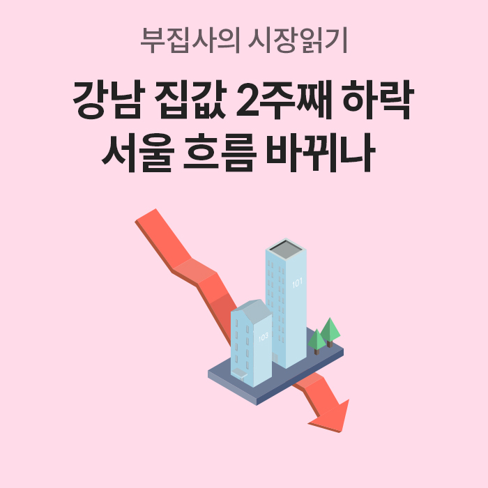 '강남 집값 2주째 하락, 서울 흐름 바뀌나'라는 문구와 함께 '하락하는 붉은 화살표와 아파트 일러스트'가 그려진 시장 읽기 썸네일이다.