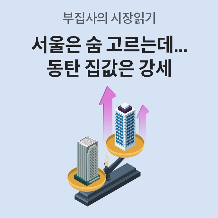 부집사의 시장읽기 콘텐츠의 타이틀 이미지다. '서울은 숨 고르는데... 동탄 집값은 강세'라는 문구와 함께, 저울 위에 올려진 두 빌딩 건물 위로 보라색 상승 화살표가 그려져 있다.