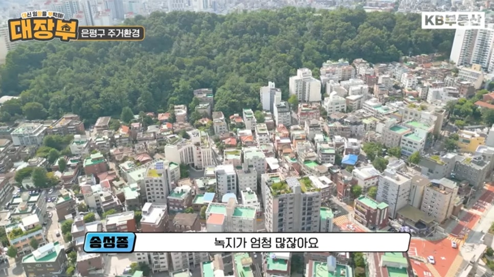 '은평구'의 '녹지'가 풍부한 쾌적한 주거환경을 위에서 아래로 촬영한 사진이다.