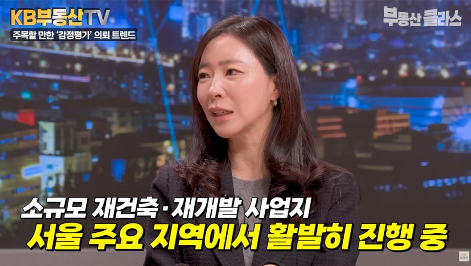  박혜준 감정평가사가 소규모 재건축·재개발 사업지는 서울 주요 지역에서 활발히 진행 중이라고 설명하는 모습입니다.