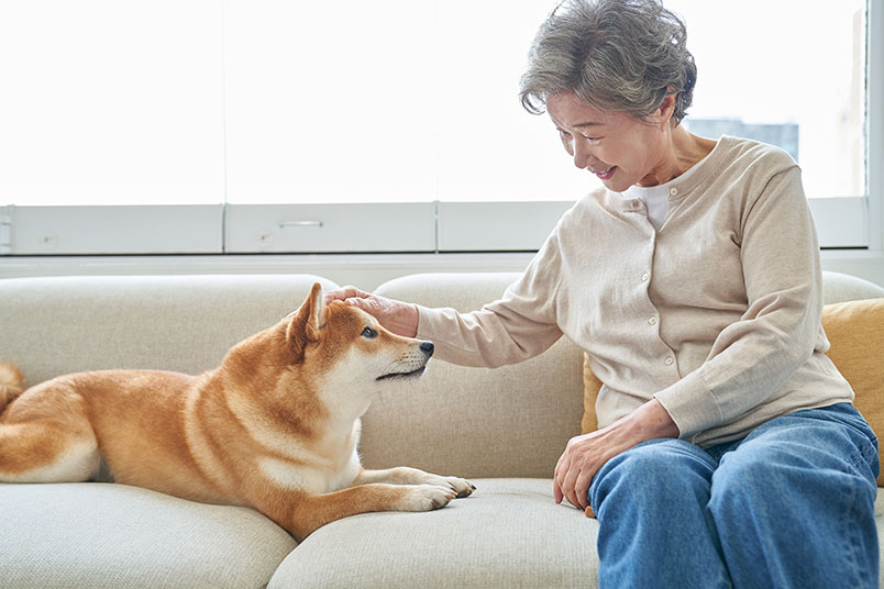 노년의 여성이 '반려견'을 보며 쓰다듬어주고 있는 모습이다.