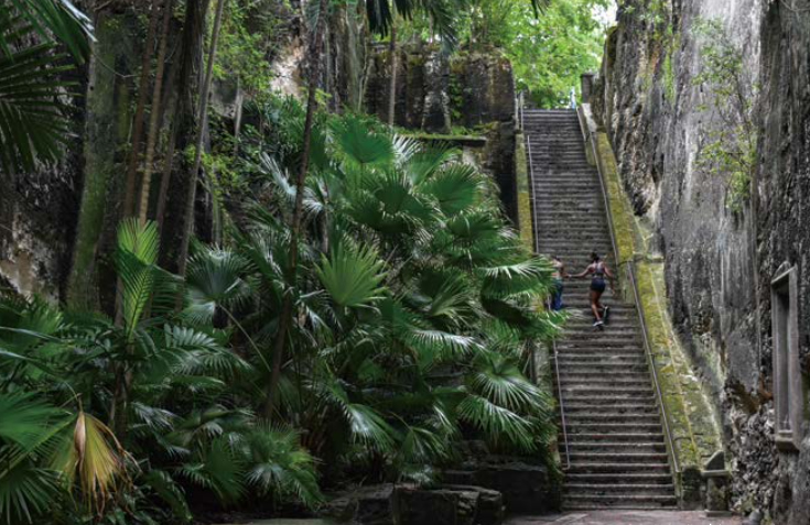 오른쪽에는 석회암을 쪼아 만든 길고 높은 계단이 있고, 바로 옆에는 울창한 야자수 나무가 고대 도시에 들어선 듯 신비한 분위기를 자아낸다.