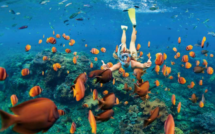 '하버섬의 핑크비치 바닷속' 안에서 열대어를 보며 포즈를 취하는 여자가 있다. 바닷속에서도 투명하고 맑은 바닷물 속의 청록색과 수많은 열대어의 주황색이 대비되어 멋있다.