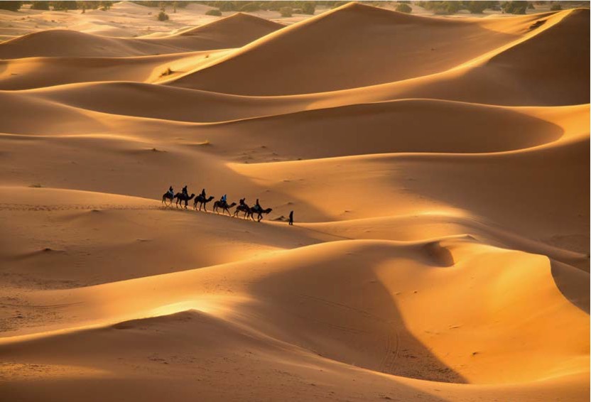 부드러운 곡선을 그리며 끝없이 펼쳐진 '황금빛 모래 언덕 위'로 '낙타 사막 투어를 즐기는 사람들의 행렬'이다. 석양의 긴 그림자와 모래의 질감이 어우러진 평화롭고 광활한 모로코 사하라 사막의 풍경이 멋지다.