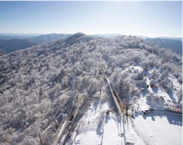겨울 스키어가 즐겨 찾는 용평리조트의 스키장 '케이블카'의 모습이다.