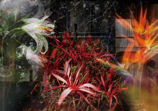 형형색색의 다양한 '꽃' 이미지가 어우러져있다.