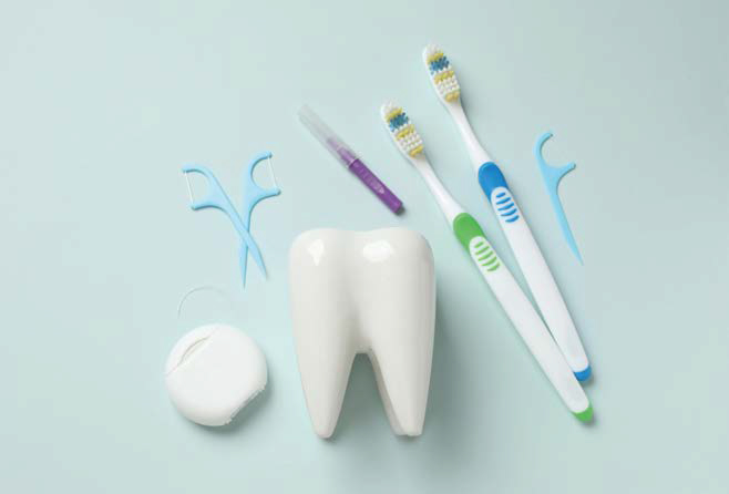 모형 치아 주변에 '치간 칫솔'과 치실 등 다양한 구강 관리 도구가 놓여 있는 모습이다.