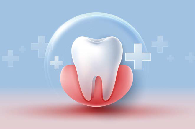 '잇몸'을 나타내는 붉은색 구조 위에 건강한 치아가 보호막에 싸인 모습이다.