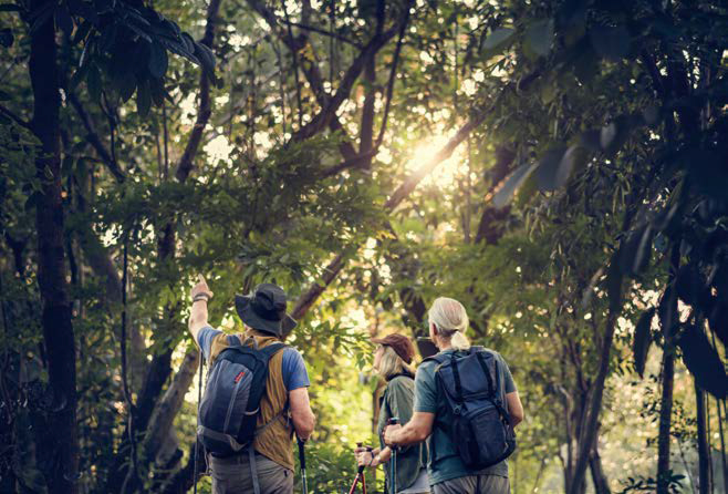 숲에 대하여 설명하고 있는 '숲해설가'의 모습이다.