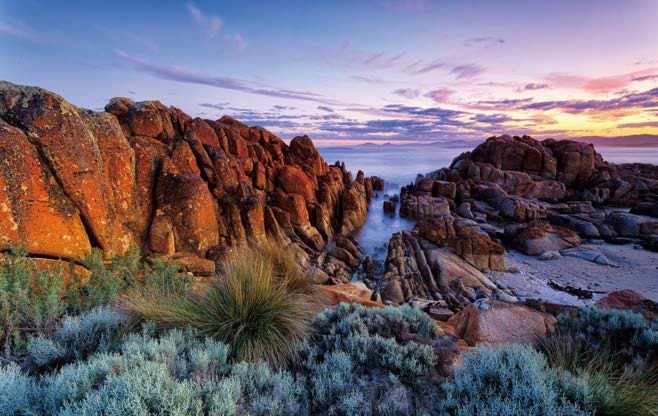 오렌지색 이끼가 낀 '화강암'과 바다가 어우러진 태즈메이니아 해변이다.