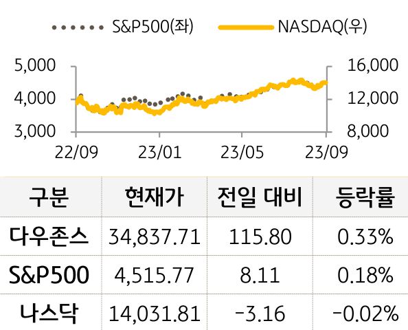 미국 증시