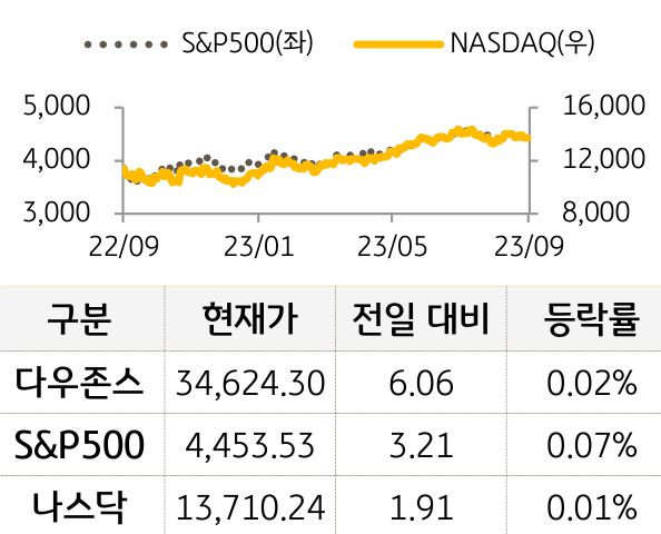 미국 증시