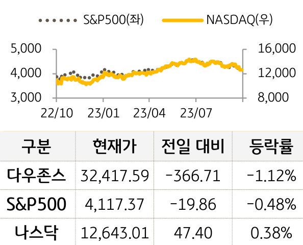 미국 증시
