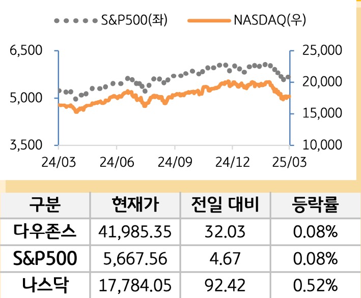 미국 증시