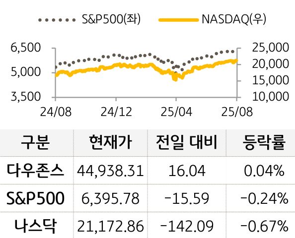 미국 증시