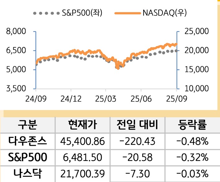 미국 증시
