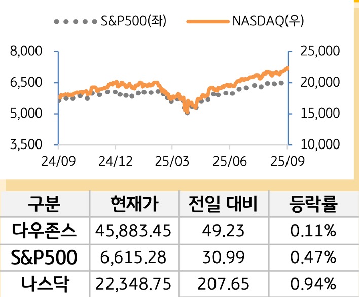 미국 증시