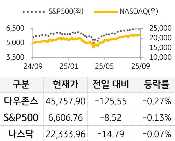 미국 증시