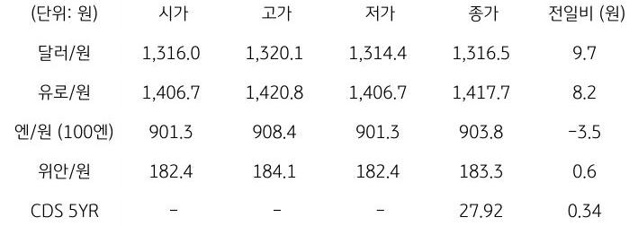 국내 외환 시장 동향