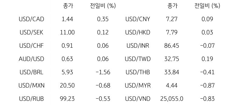 글로벌 주요 통화 동향