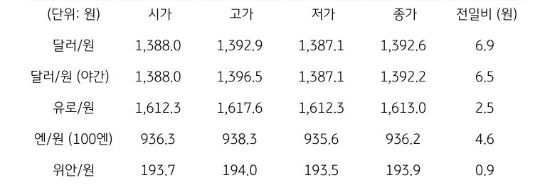 국내 외환 시장 동향