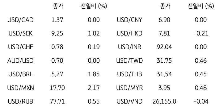 글로벌 주요 통화 동향