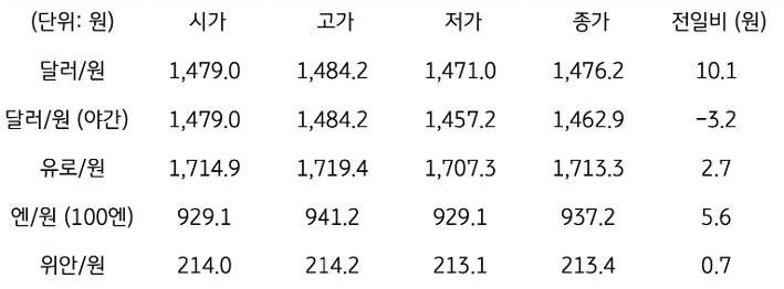 국내 외환 시장 동향