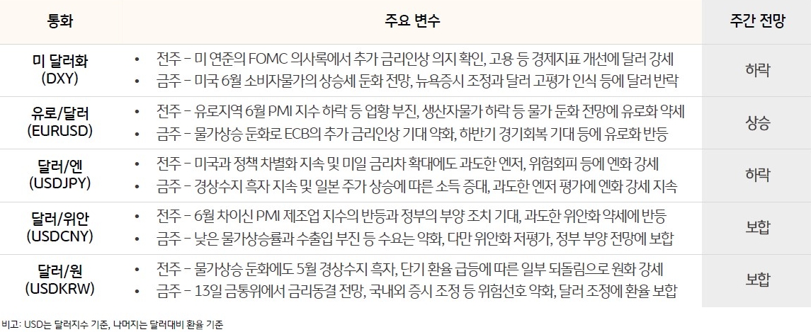 전주 미 연준의 FOMC 의사록에서 추가 금리인상 의지 확인, 고용 등 경제지표 개선에 달러 강세. 금주 미국 6월 소비자물가의 상승세 둔화 전망, 뉴욕증시 조정과 달러 고평가 인식 등에 달러 반락할 내용을 표로 정리하였다.