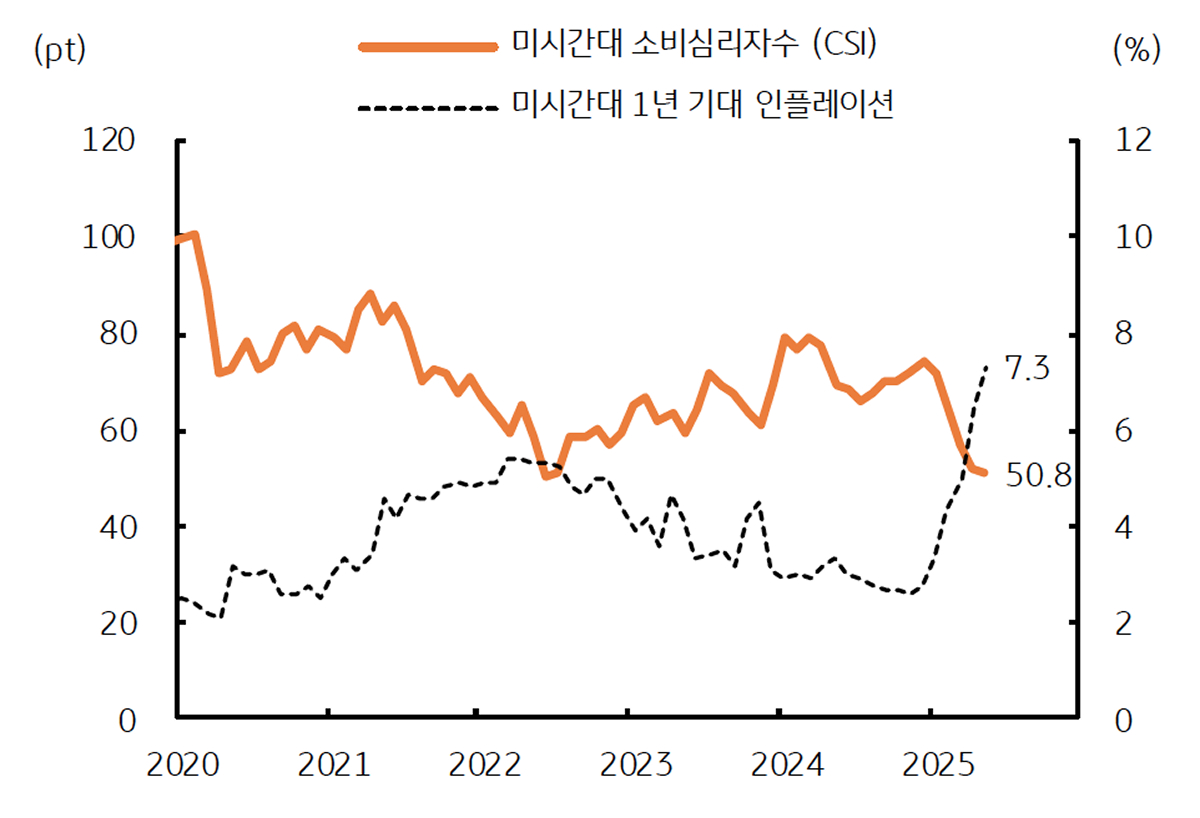 '미국소비자 심리' '약화'와 기대 인플레이션의 급등을 보여주는 그래프이다.