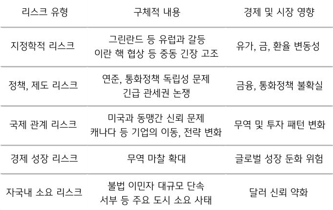 '트럼프 리스크'의 내용을 유형, 구체적 내용, 경제 및 시장 영향으로 구분하여 표로 정리했다.