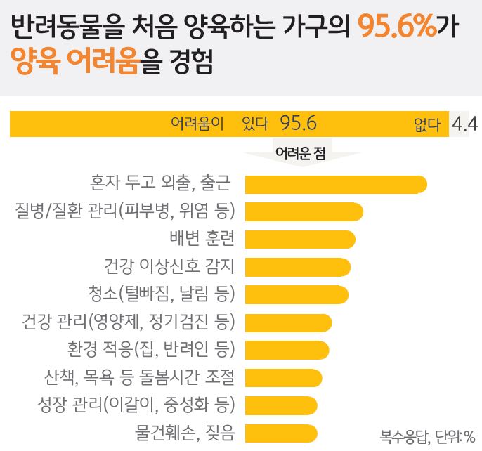 '반려동물을 처음 양육'하는 가구의 '95.6%가 양육 어려움'을 경험을 나타내는 그래프.