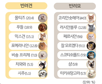 '반려견'과 '반려묘'의 비율을 정리한 표이다.