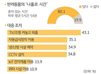반려동물의 '나홀로 집에' 비율과 대응 조치를 조사한 그래프이다.