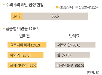 '반려동물'의 '비만' 판정 현황과 품종별 비만율 TOP3를 정리한 그래프이다.