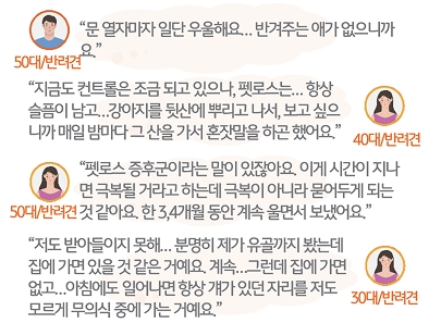 '펫로스' '우울감' 경험 사례를 소개하는 텍스트이다.