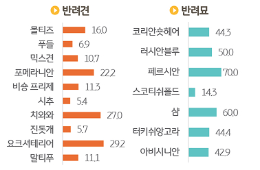 반려동물 품종별 '비만율'을 조사한 그래프이다.