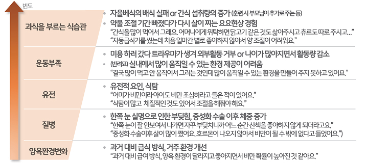 '변려동물 비만'의 '주요 원인'을 조사하였다.
