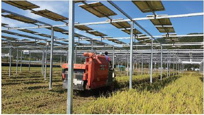 충북 청주시의 '태양광 발전소' 사진이다.