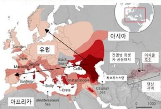 '흑해에서 시작된 흑사병이 유럽과 북아프리카로 확산된 경로를 연도별 색상으로 구분'해 표시한 역사 지도이다.
