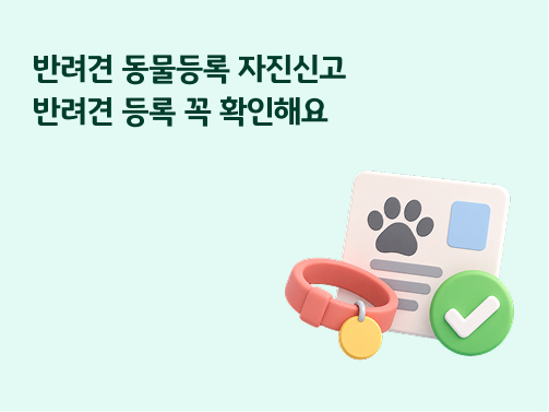민트색 배경을 바탕으로 '반려견' 등록증과 목줄이미지가 위치해있다.