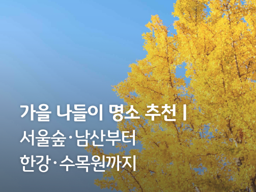 푸른 하늘을 바탕으로 노란색 '은행나무'의 모습을 보여주고 있다.