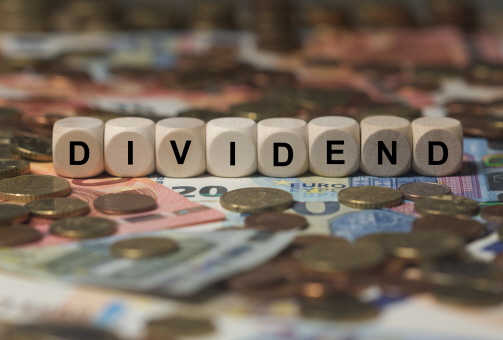 나무 블럭에 dividends 라고 배당을 뜻하는 단어가 써있다.